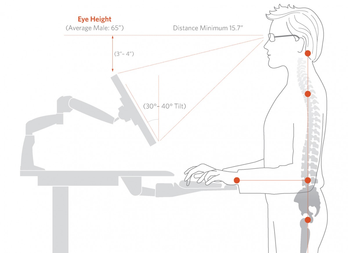 Facts About Standing Desks Good Ergonomics In The Modern Workplace
