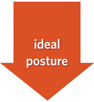 ideal-posture