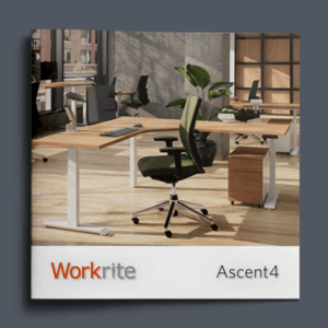 solace-brochure-thumb