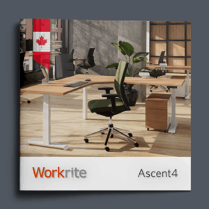 solace-brochure-thumb